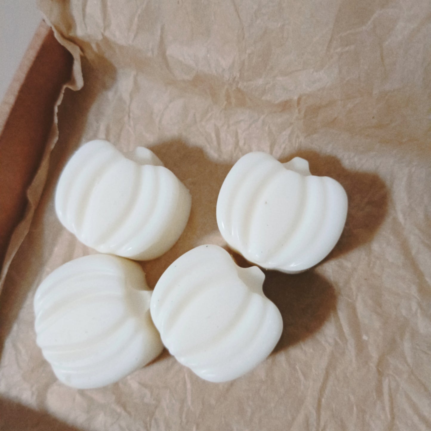 Autumn wax melts