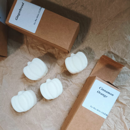 Autumn wax melts